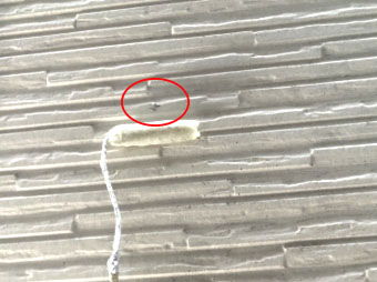 外壁からの雨漏りメンテナンス/工事中実況解説（神奈川県の外壁塗装専門店）２